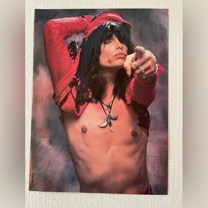 Vintage Aerosmith Steven Tyler pinup
